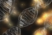 DNA- Rare Commons